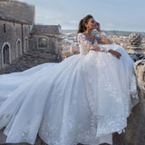 Wedding V-Neck 2026 New Big Tailed Wedding Dress Retro Sexy Tulle Long-Sleeved Wedding Dress HZ0517