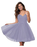 Suspension Evening Dress Sexy Temperament V-Neck Dress Tulle Classmates Party Party Banquet Performance Dress HZ0517