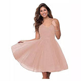 Suspension Evening Dress Sexy Temperament V-Neck Dress Tulle Classmates Party Party Banquet Performance Dress HZ0517