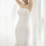 Bride Light Wedding Wedding Banquet Elegant Breast 2026 New Indoor Wedding Photo Simple Atmosphere Waist Fishtail Evening Dress HZ0517