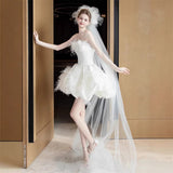 French-Style Densat Light Wedding Dress 2026 New High-End Feeling Small Adult Birthday Party Dress Dress HZ0517