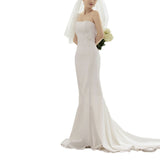 Bride Light Wedding Wedding Banquet Elegant Breast 2026 New Indoor Wedding Photo Simple Atmosphere Waist Fishtail Evening Dress HZ0517