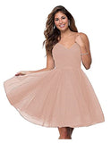 Suspension Evening Dress Sexy Temperament V-Neck Dress Tulle Classmates Party Party Banquet Performance Dress HZ0517