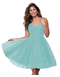 Suspension Evening Dress Sexy Temperament V-Neck Dress Tulle Classmates Party Party Banquet Performance Dress HZ0517