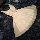 2026 New Evening Dress Ebaywish Sexy Short Thin Dress Girl HZ0517