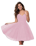 Suspension Evening Dress Sexy Temperament V-Neck Dress Tulle Classmates Party Party Banquet Performance Dress HZ0517