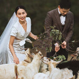 Simplicity V-Necked French Light Wedding Dress 2026 Spring New Bride Welcome Simple Thin Travel Dress HZ0517