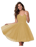 Suspension Evening Dress Sexy Temperament V-Neck Dress Tulle Classmates Party Party Banquet Performance Dress HZ0517
