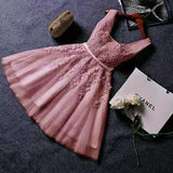 2026 New Evening Dress Ebaywish Sexy Short Thin Dress Girl HZ0517