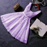 2026 New Evening Dress Ebaywish Sexy Short Thin Dress Girl HZ0517