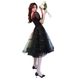 Banquet Small Evening Dress Dress Female Black Temperament 2026 New Fashion Dress Birthday Banquet Fashion Dress HZ0517