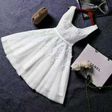 2026 New Evening Dress Ebaywish Sexy Short Thin Dress Girl HZ0517