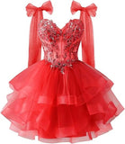 Layered Tulle Back To School Dress Sparkling Lace Decals Bow Strap Teen Short Prom Dress HZ0517