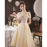 Champagne Evening Dress 2026 Adult Gift Small Birthday Party Performance Light Luxury Niche High-End Art Skirt HZ0517