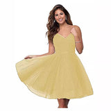 Suspension Evening Dress Sexy Temperament V-Neck Dress Tulle Classmates Party Party Banquet Performance Dress HZ0517