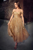 Word Shoulder Evening Dress 2026 New Fashion Temperament Elegant Air Show Back Evening Dress Banquet Party HZ0517