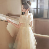 Champagne Evening Dress 2026 Adult Gift Small Birthday Party Performance Light Luxury Niche High-End Art Skirt HZ0517