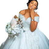 The Main Wedding Dress Shoulder 2026 New Temperament Bridal Wedding Dress Atmosphere Court Wind Tail HZ0517