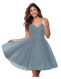 Suspension Evening Dress Sexy Temperament V-Neck Dress Tulle Classmates Party Party Banquet Performance Dress HZ0517