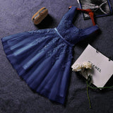 2026 New Evening Dress Ebaywish Sexy Short Thin Dress Girl HZ0517