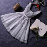 2026 New Evening Dress Ebaywish Sexy Short Thin Dress Girl HZ0517
