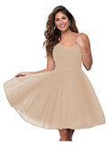 Suspension Evening Dress Sexy Temperament V-Neck Dress Tulle Classmates Party Party Banquet Performance Dress HZ0517