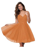 Suspension Evening Dress Sexy Temperament V-Neck Dress Tulle Classmates Party Party Banquet Performance Dress HZ0517
