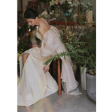 French Breast-Shape Engagement Brigade Light Wedding Dress Bride's Morning Robes Niche Yarn Welcome White Evening Dress Dress HZ0517