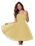 Suspension Evening Dress Sexy Temperament V-Neck Dress Tulle Classmates Party Party Banquet Performance Dress HZ0517