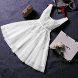 2026 New Evening Dress Ebaywish Sexy Short Thin Dress Girl HZ0517