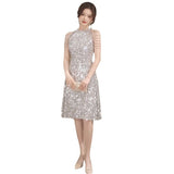 Silver Hanging Neck Body Short Dress Squin Light Luxury Niche Banquet Evening Dress Temperament Sexy Dress Senior Sense HZ0517