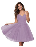 Suspension Evening Dress Sexy Temperament V-Neck Dress Tulle Classmates Party Party Banquet Performance Dress HZ0517