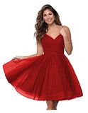 Suspension Evening Dress Sexy Temperament V-Neck Dress Tulle Classmates Party Party Banquet Performance Dress HZ0517