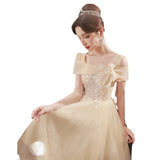 Champagne Evening Dress 2026 Adult Gift Small Birthday Party Performance Light Luxury Niche High-End Art Skirt HZ0517