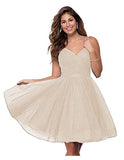 Suspension Evening Dress Sexy Temperament V-Neck Dress Tulle Classmates Party Party Banquet Performance Dress HZ0517