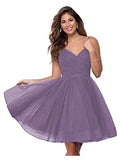 Suspension Evening Dress Sexy Temperament V-Neck Dress Tulle Classmates Party Party Banquet Performance Dress HZ0517