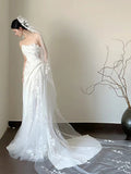Light Wedding Dress 2026 New Lace Yarn Out Sexy Brao Fishtail Wedding Dress Exterior Light Yarn Welcome HZ0517