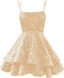 Suspension Sexy Little Dress 2026 Spring New Fashion Trend Cocktail Small Man Banquet Dress HZ0517