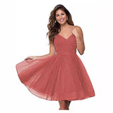Suspension Evening Dress Sexy Temperament V-Neck Dress Tulle Classmates Party Party Banquet Performance Dress HZ0517